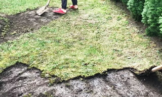 Снятие дерна старого газона в Борзе – от 509 руб. | 2Землекопа-Бря
