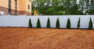 Отсыпка грунта Борзя, цена от 204 руб.